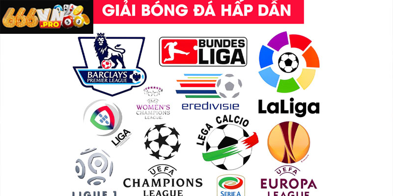 Các Giải Đấu Bóng Đá Lớn 666VN – Sân Chơi Cá Cược Đỉnh Cao Tầm ảnh hưởng của các giải đấu bóng đá lớn đối với cược thủ