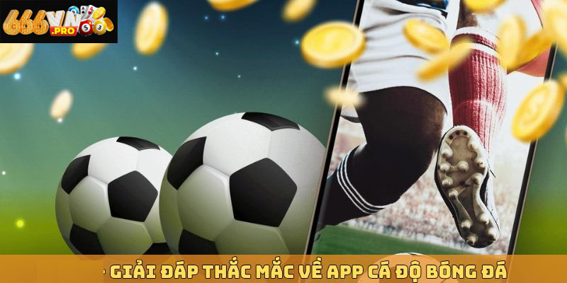 App cá cược bóng đá dễ dùng với tỷ lệ kèo hấp dẫn