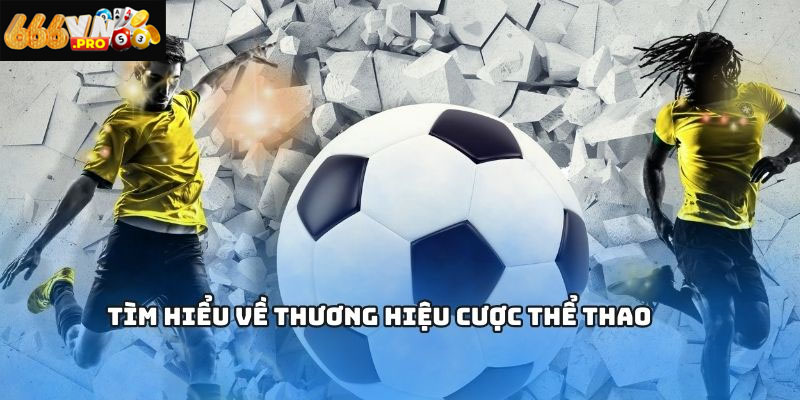 Trang cá cược bóng đá chất lượng cao, bảo mật tuyệt đối