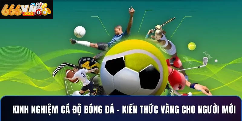 Nhà cái cá độ bóng đá hỗ trợ nạp rút nhanh và ổn định