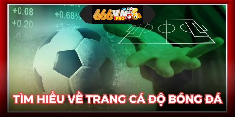 Thuật Ngữ Bóng Đá 666vn – Từ Cơ Bản Đến Chuyên Sâu Tổng hợp thuật ngữ bóng đá thường gặp trong trận đấu chuyên nghiệp