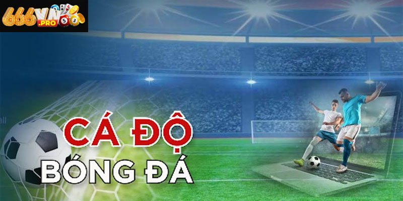 Trang Bóng Đá Uy Tín 666vn – Cập Nhật Tin Thể Thao Chuẩn Xác Trang bóng đá uy tín 666VN dành cho người yêu cá cược thể thao