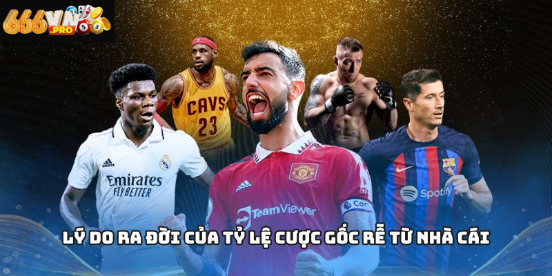 Tỷ lệ cá cược bóng đá hôm nay được cập nhật liên tục