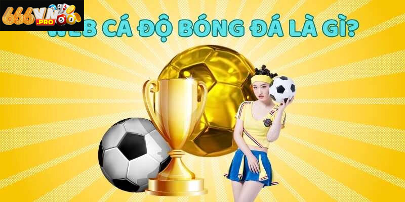 Web Cá Độ Bóng Đá 666vn – Sân Chơi Tin Cậy Cho Cược Thủ Trải nghiệm web cá độ bóng đá chất lượng cao mỗi ngày